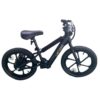 lexgo-ebike-efun20-10.jpg