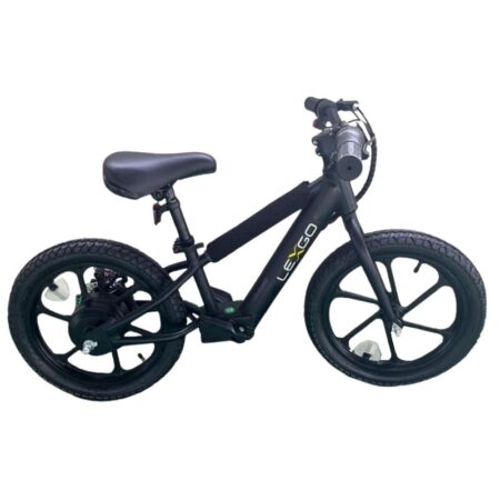 lexgo-ebike-efun20-10.jpg
