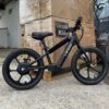 lexgo-ebike-efun20-02.jpg
