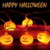 fuansheng-halloween-kuerbis-lichterkette-3m-20-led-batteriebetrieben-8.jpg