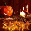 halloween-led-kuerbis-lichterkette-grosshandel-b2b-6.jpg